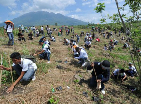 Plantation of 5000 trees in Sus Pune