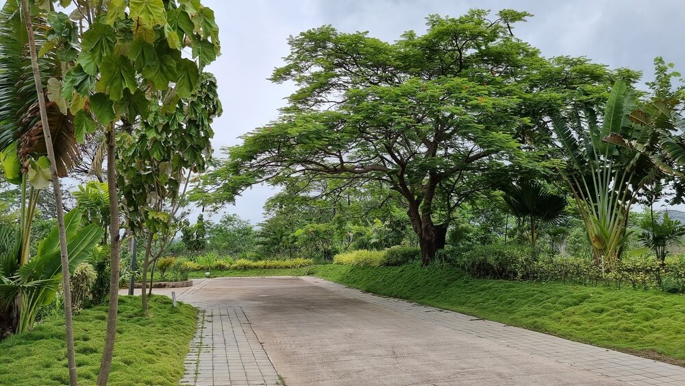 urbanbrickcastleactualprojectview-1